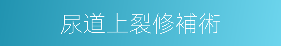 尿道上裂修補術的同義詞