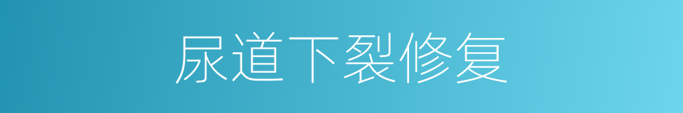 尿道下裂修复的同义词