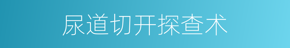 尿道切开探查术的同义词