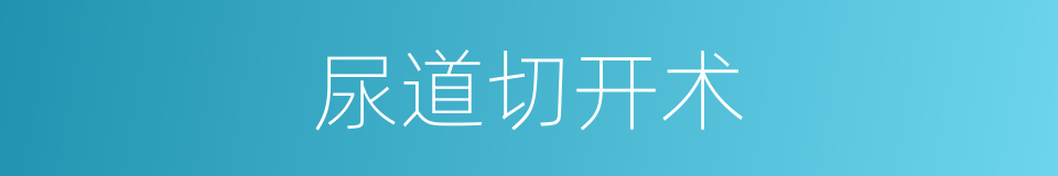 尿道切开术的同义词