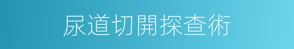 尿道切開探查術的同義詞