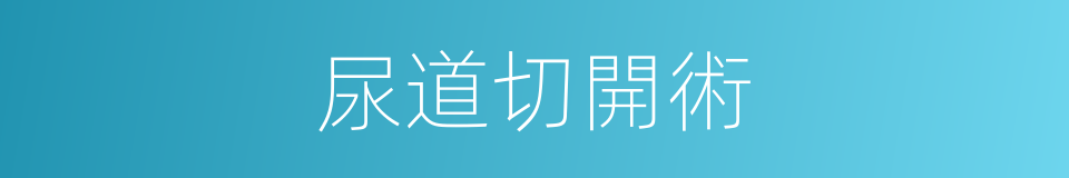 尿道切開術的同義詞