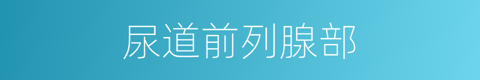 尿道前列腺部的同义词