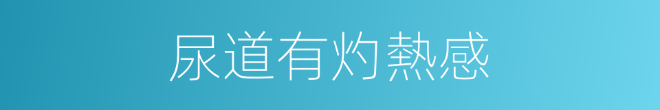 尿道有灼熱感的同義詞