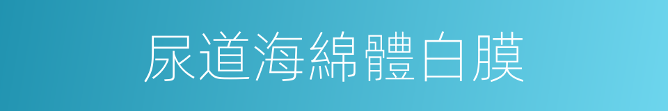 尿道海綿體白膜的同義詞