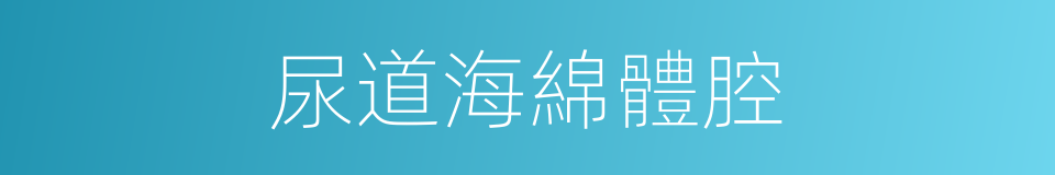 尿道海綿體腔的同義詞