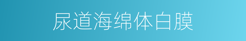 尿道海绵体白膜的同义词
