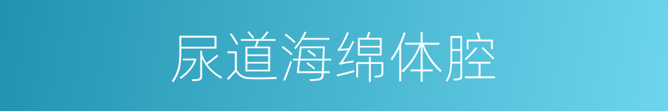 尿道海绵体腔的同义词