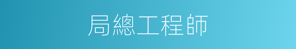 局總工程師的同義詞