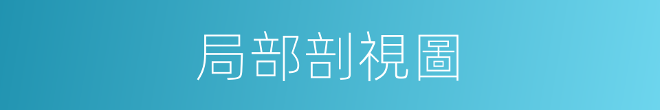 局部剖視圖的同義詞