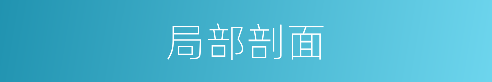 局部剖面的同义词
