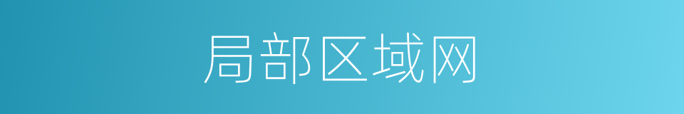 局部区域网的同义词