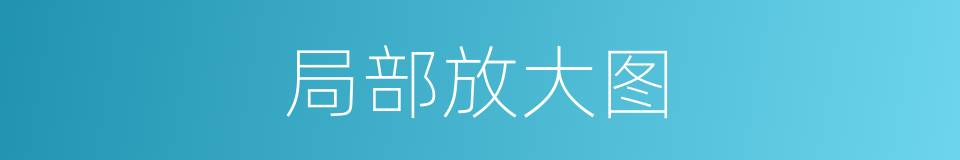 局部放大图的同义词