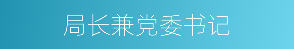 局长兼党委书记的同义词