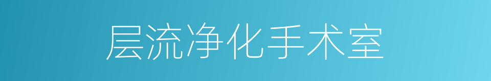层流净化手术室的同义词