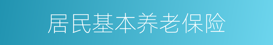 居民基本养老保险的同义词