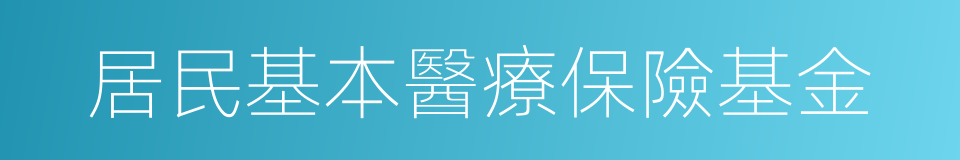 居民基本醫療保險基金的同義詞