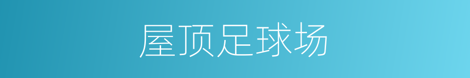 屋顶足球场的同义词
