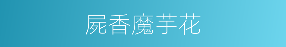 屍香魔芋花的同義詞