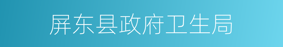 屏东县政府卫生局的同义词