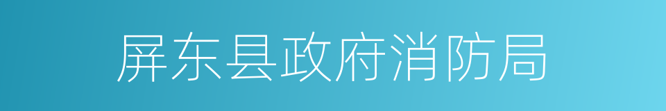 屏东县政府消防局的同义词