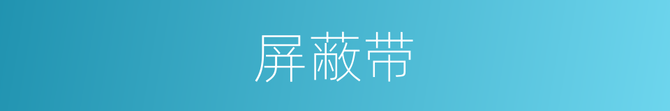 屏蔽带的同义词