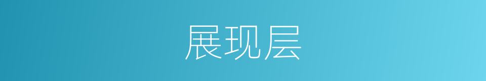 展现层的同义词