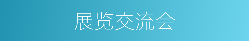 展览交流会的同义词