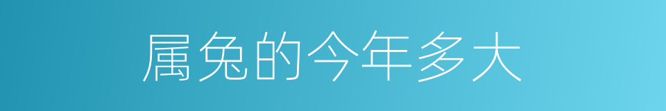 属兔的今年多大的同义词