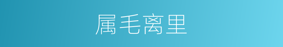 属毛离里的意思