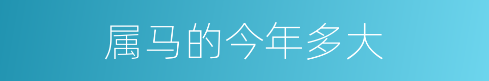 属马的今年多大的同义词