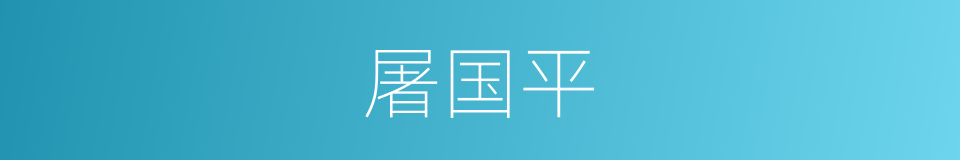 屠国平的同义词
