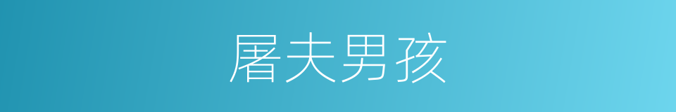 屠夫男孩的同义词