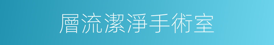 層流潔淨手術室的同義詞