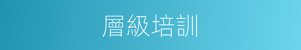 層級培訓的同義詞