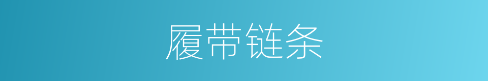 履带链条的同义词