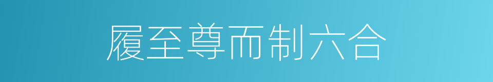 履至尊而制六合的同义词