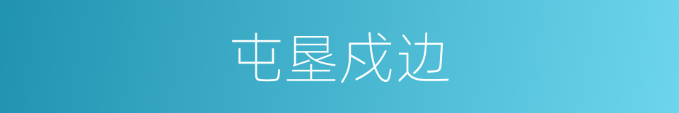 屯垦戍边的意思