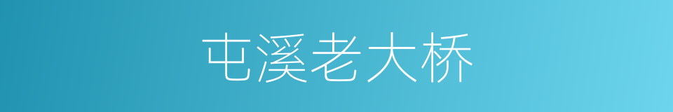 屯溪老大桥的同义词