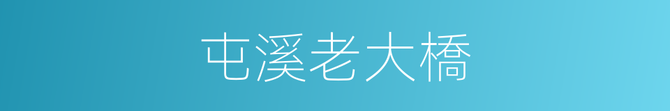 屯溪老大橋的同義詞