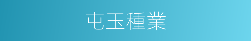 屯玉種業的同義詞