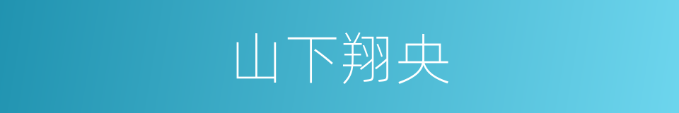 山下翔央的同义词