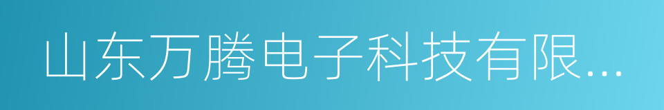 山东万腾电子科技有限公司的同义词