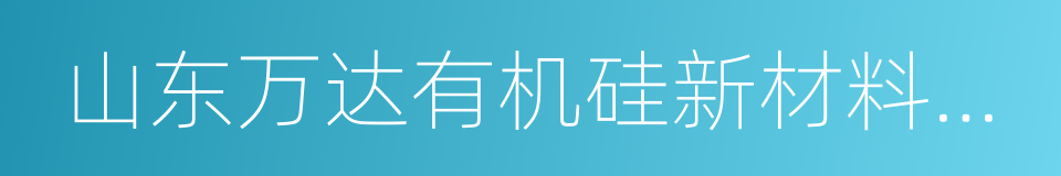 山东万达有机硅新材料有限公司的同义词