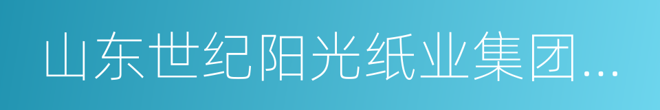 山东世纪阳光纸业集团有限公司的同义词