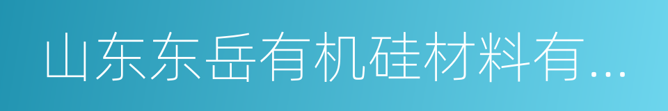 山东东岳有机硅材料有限公司的同义词