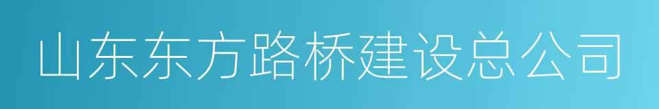 山东东方路桥建设总公司的同义词