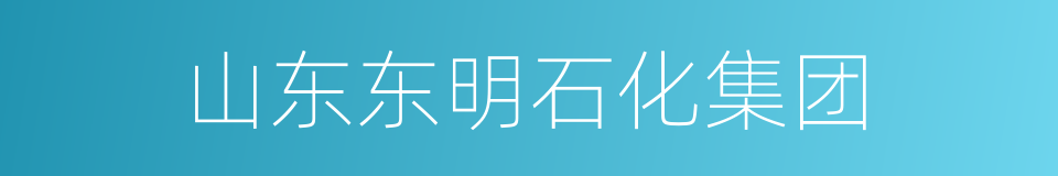 山东东明石化集团的同义词