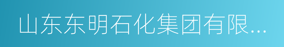 山东东明石化集团有限公司的同义词