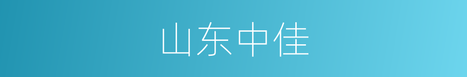 山东中佳的同义词